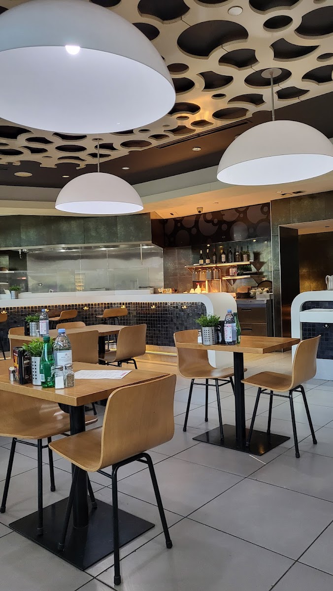 Tocco Chicago Photos 2